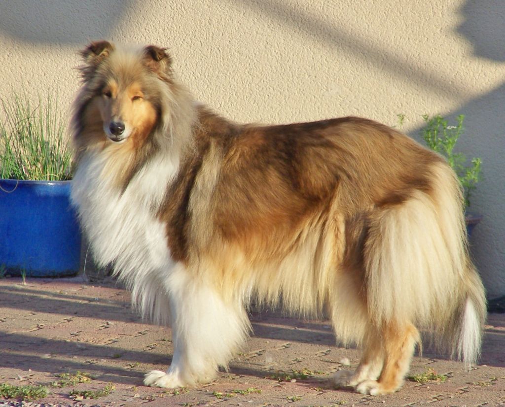 Ravissante perle ecossaise of Snowthy Park